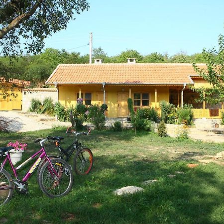 Pelican Birding Guest House Vetren  Exteriér fotografie