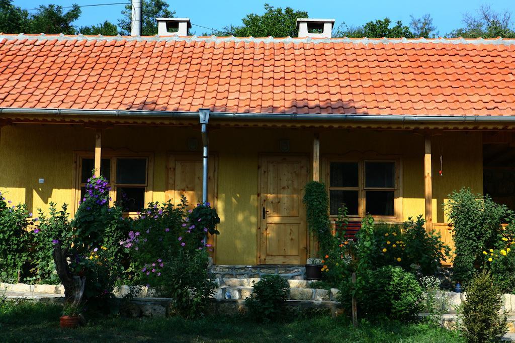 Pelican Birding Guest House Vetren  Exteriér fotografie