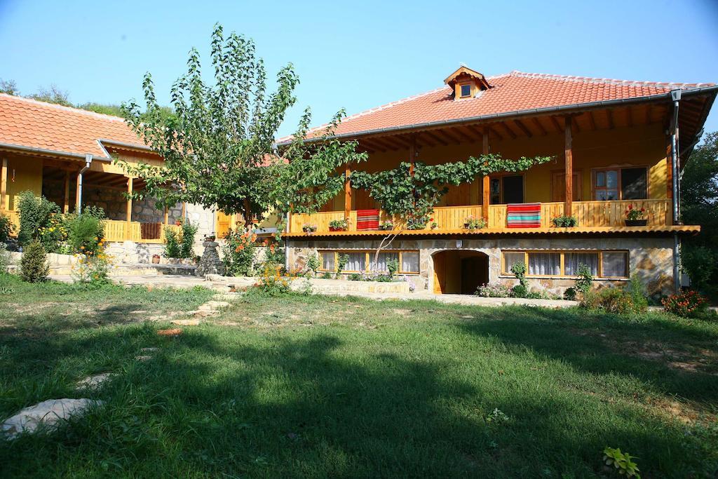 Pelican Birding Guest House Vetren  Exteriér fotografie