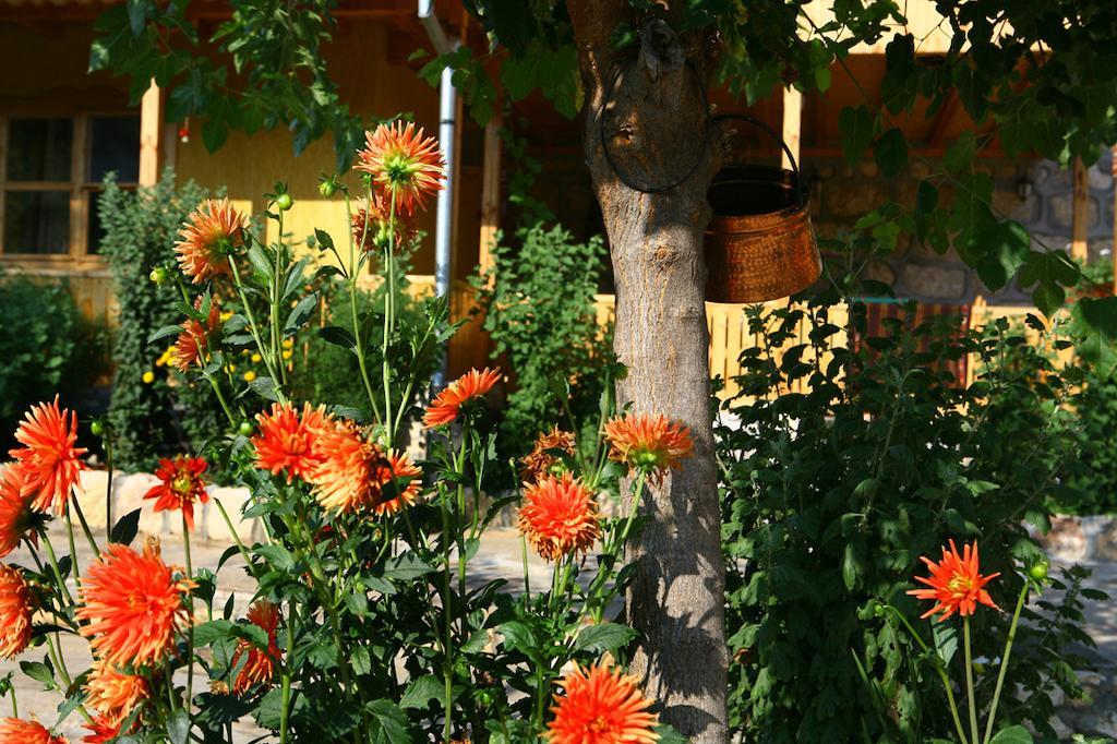 Pelican Birding Guest House Vetren  Exteriér fotografie