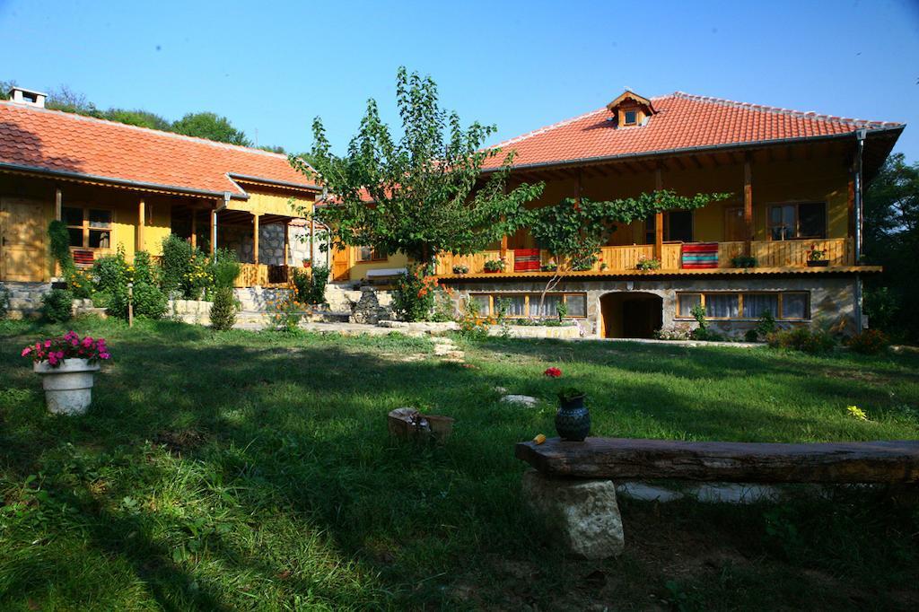 Pelican Birding Guest House Vetren  Exteriér fotografie