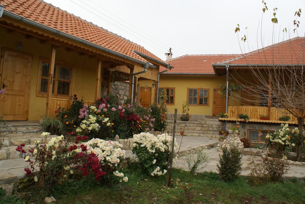 Pelican Birding Guest House Vetren  Exteriér fotografie