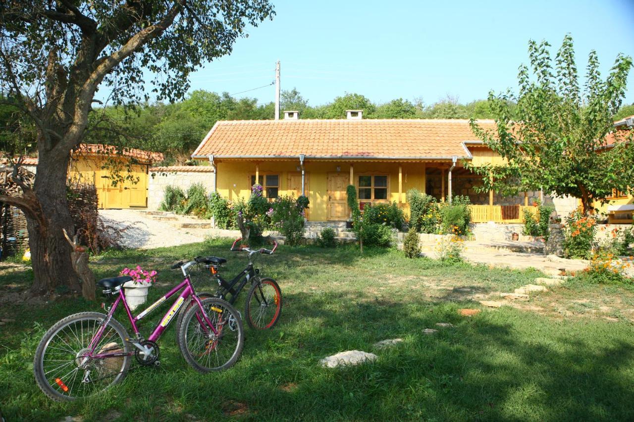 Pelican Birding Guest House Vetren  Exteriér fotografie